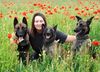 Steffis Hundeschule, Steffi Winter Steffis Hundeschule in Friedland